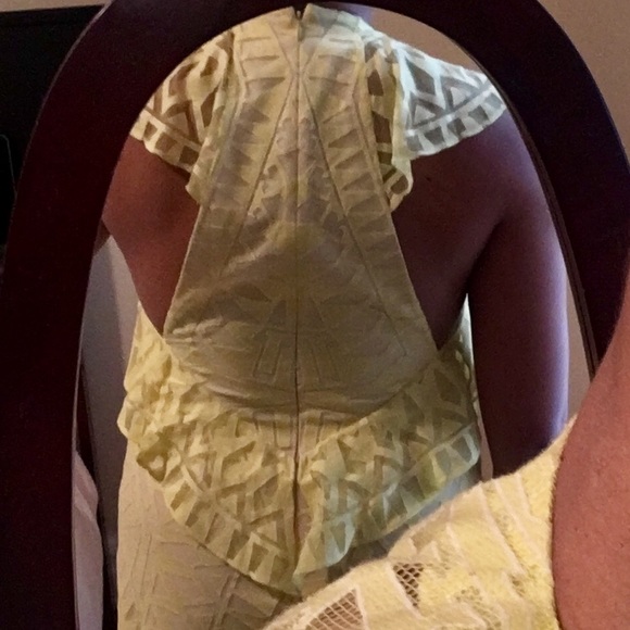 Ruffle Lace Sheath Dress - Picture 6 of 6